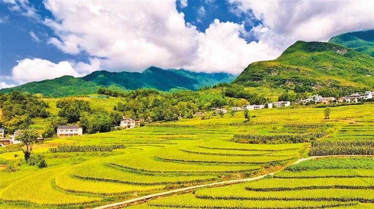 A scenic view of Ankang Fengyan Terraced Fields