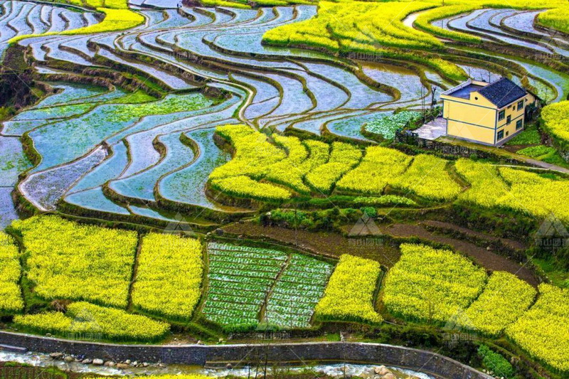 A scenic view of Ankang Fengyan Terraced Fields