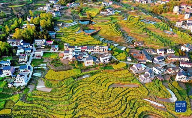A scenic view of Ankang Fengyan Terraced Fields