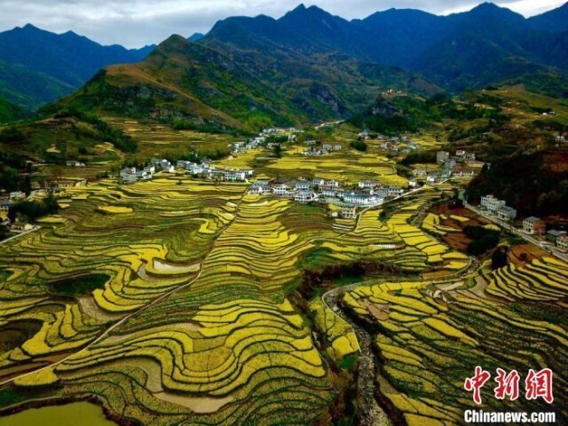 A scenic view of Ankang Fengyan Terraced Fields