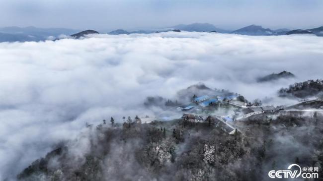 A scenic view of Ankang Liujiaying Site