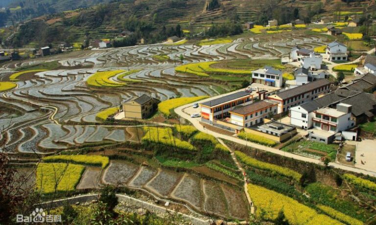 A Complete Guide to Experiencing Ankang Liujiaying Site in Shaanxi