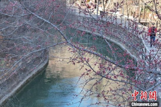 Your Ultimate Guide to Exploring Anyang Hongqiqu: Nature and Tradition Unite