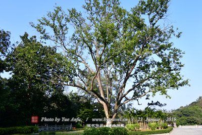 A scenic view of Aral Yuergun Junken Jiuzhi