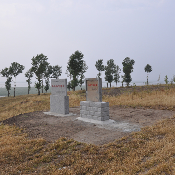 Baicheng Houtaomuga Yizhi: A Journey Through History and Nature