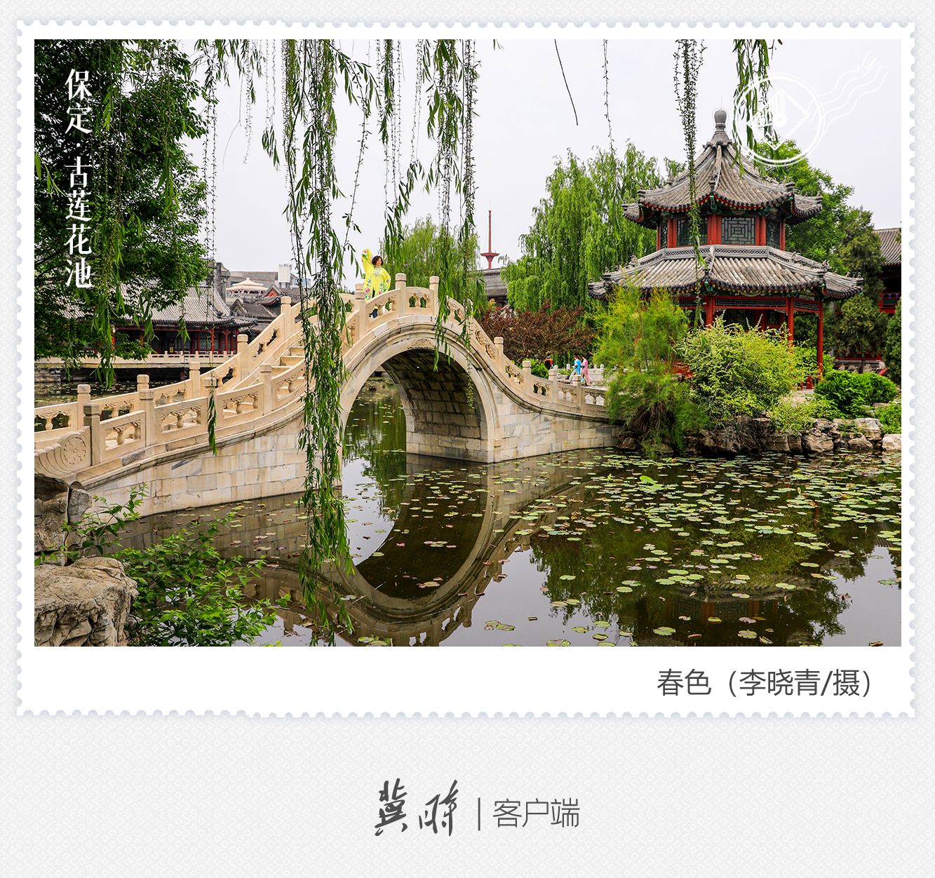 A scenic view of Baoding Ancient Lotus Pond