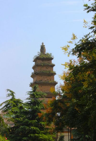 A Journey to the Heart of History: Baoji Jingguang Temple Pagoda