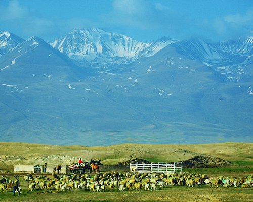 A scenic view of Bayingolin Luobupo Nan Gucheng Yizhi