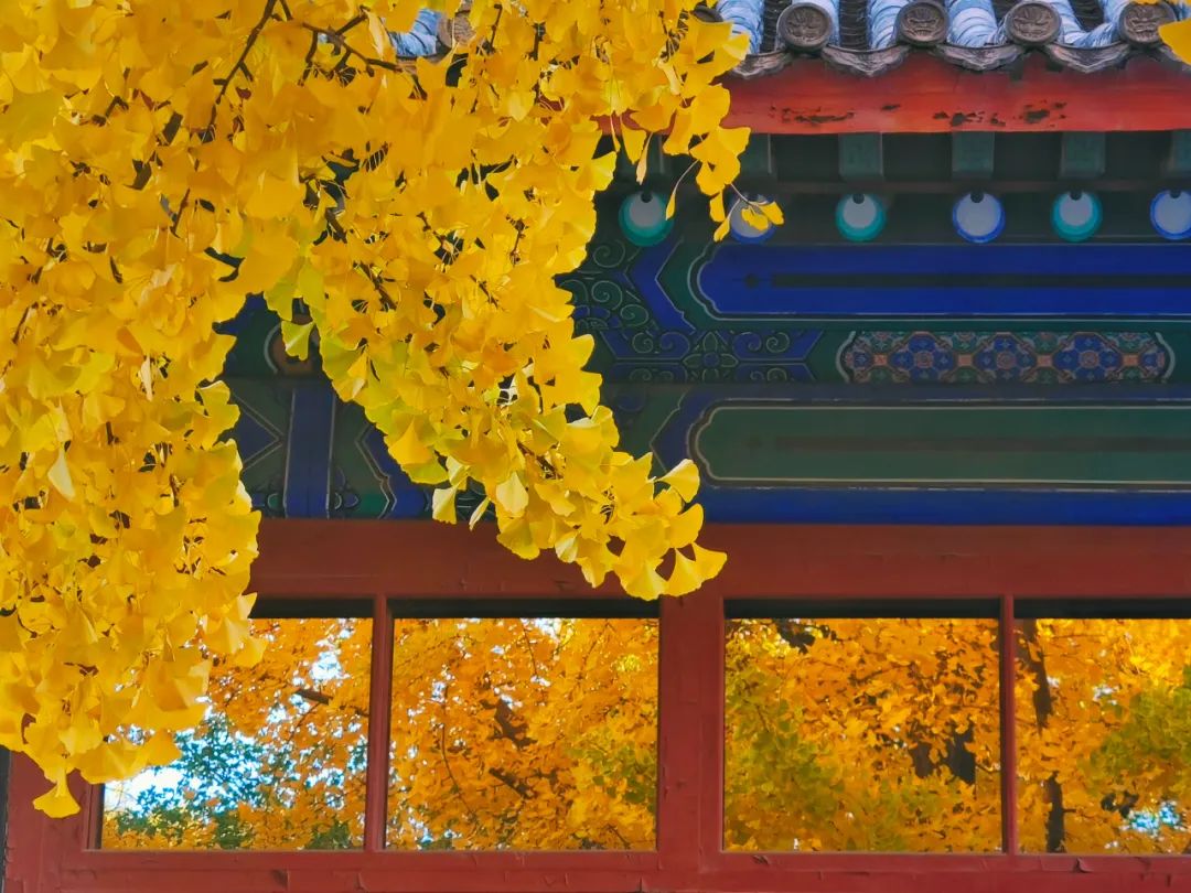 A scenic view of Beijing Dongcheng Guozijian