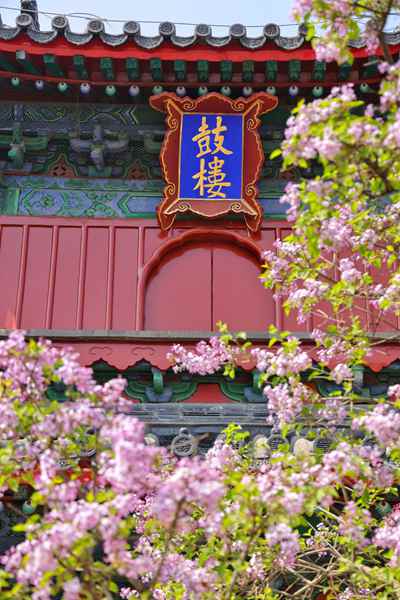 A scenic view of Beijing Dongcheng Zhihuasi