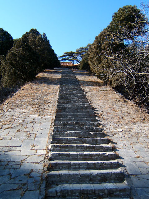 A scenic view of Beijing Haidian Chunqinwang Mu