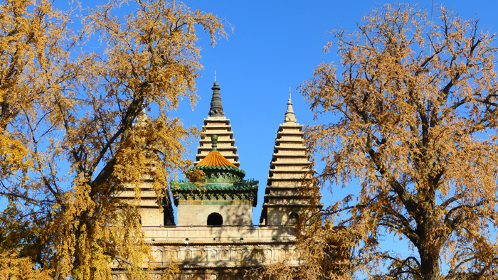 A Guide to the Majestic Zhenjuesi Jingangbaozuo: Haidian’s Cultural Treasure