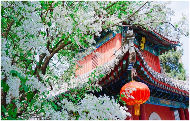 A scenic view of Beijing Mentougou Jietai Si