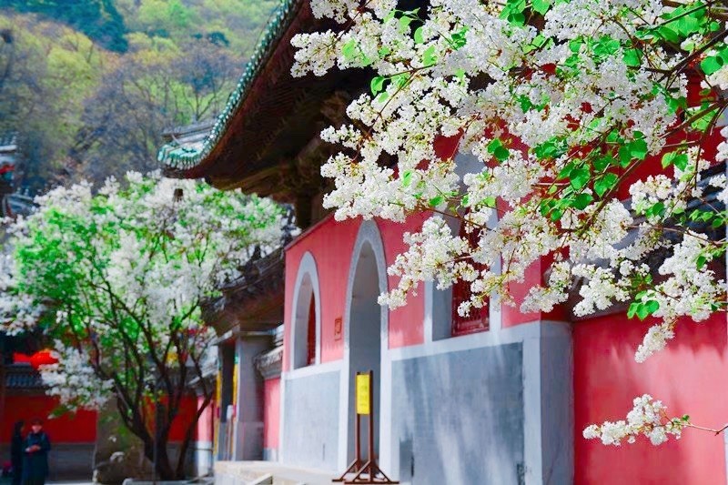 A scenic view of Beijing Mentougou Jietai Si