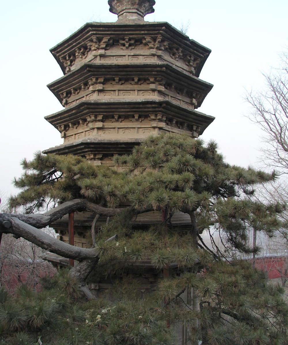 A scenic view of Beijing Mentougou Jietai Si