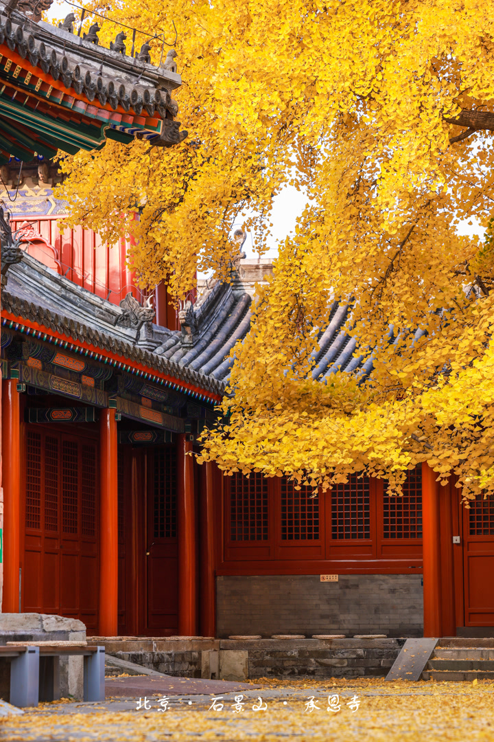 Exploring Chengensi: The Serene Temple of Shijingshan, Beijing