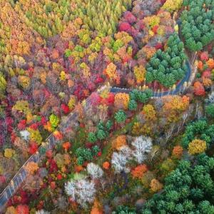 A scenic view of Benxi Wangjianglou Mudi