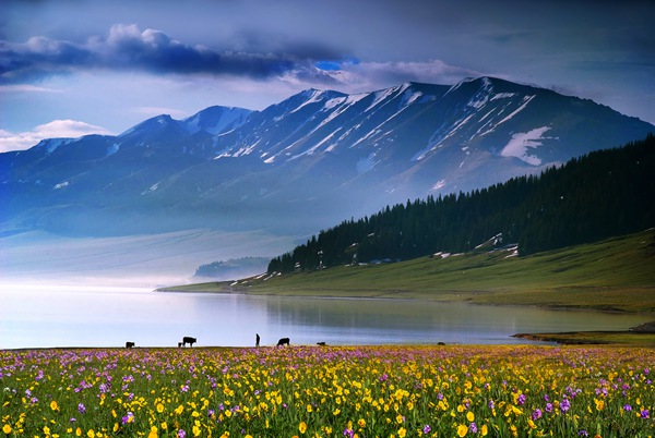 A scenic view of Bortala Dalete Gucheng Yizhi