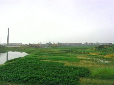 Unveiling the Secrets of Changde Jigongdang Yizhi: A Cultural Journey