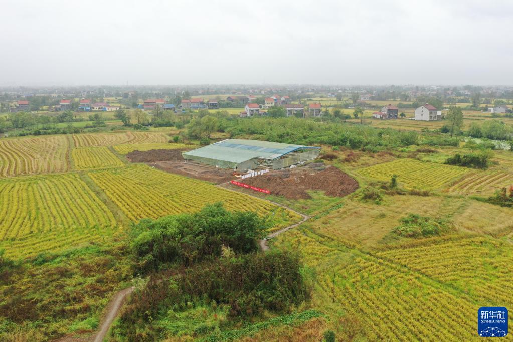 A scenic view of Changde Sunjiagang Yizhi