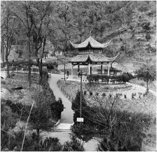 Discover the Hidden Gems of Changsha Aiwanting: A Traveler’s Guide to Hunan’s Culinary Delights