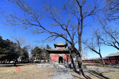 Unveiling the Mysteries of Changzhi Xiaozhang Biyun Temple Hall