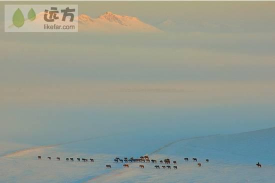 A scenic view of Chengde Mulan Weichang Imperial Steles And Cliffs