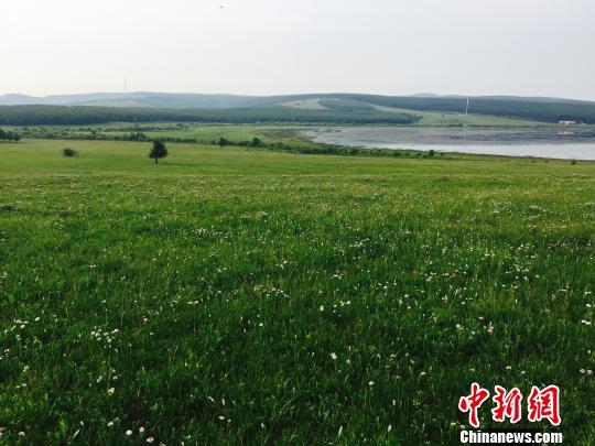 A scenic view of Chengde Mulan Weichang Imperial Steles And Cliffs