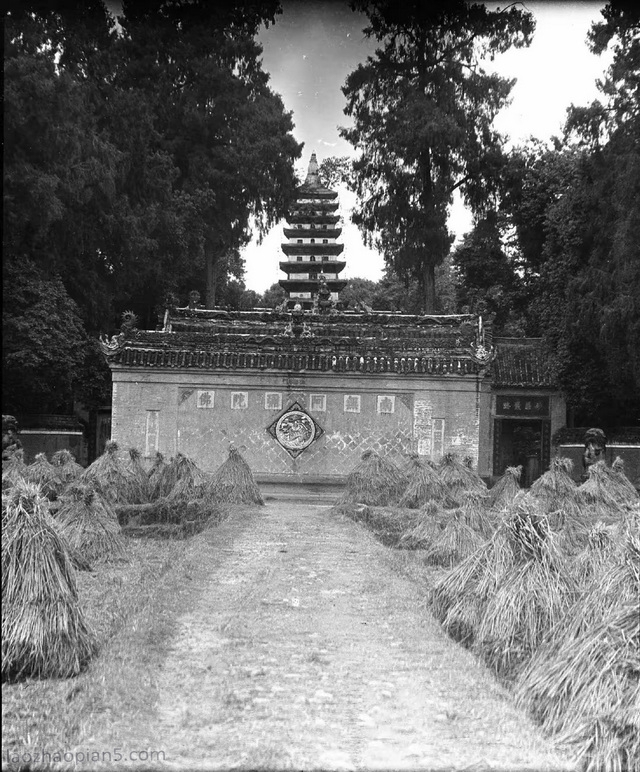 A Day at Chengdu Baoguangsi: Experience the Serenity of Sichuan’s Ancient Temple