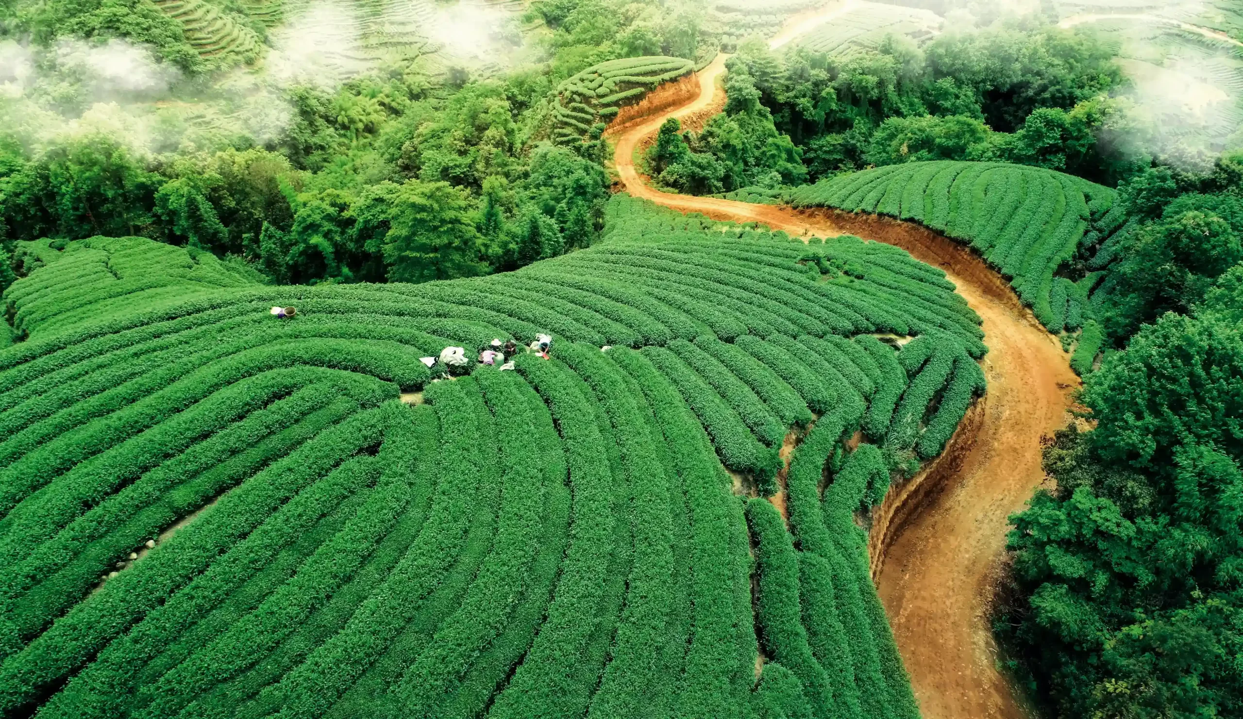 A scenic view of Chengdu Chenyaoyan Chamagudao
