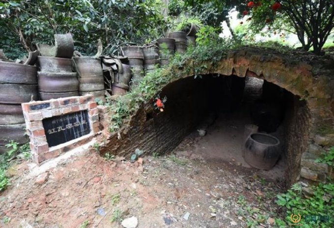 Chengdu Qiongyao Yizhi: Where Tradition Meets Modern Taste in Sichuan Cuisine