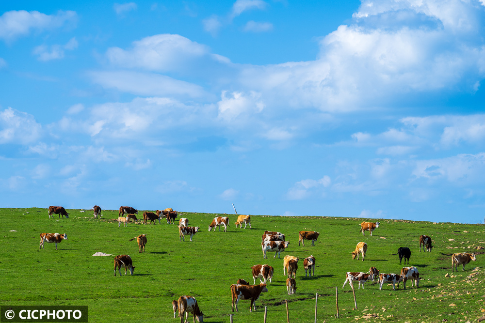 A scenic view of Chifeng Caomaoshanyizhi