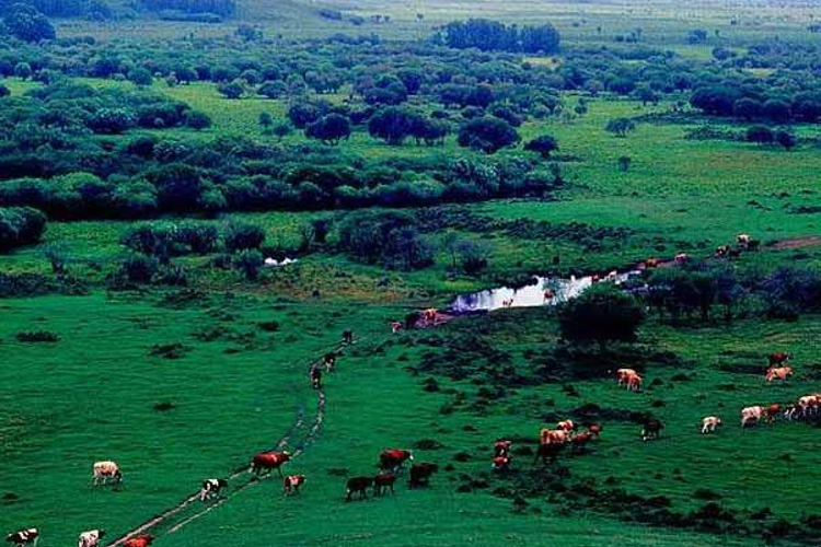 A scenic view of Chifeng Dajinggutongkuangyizhi