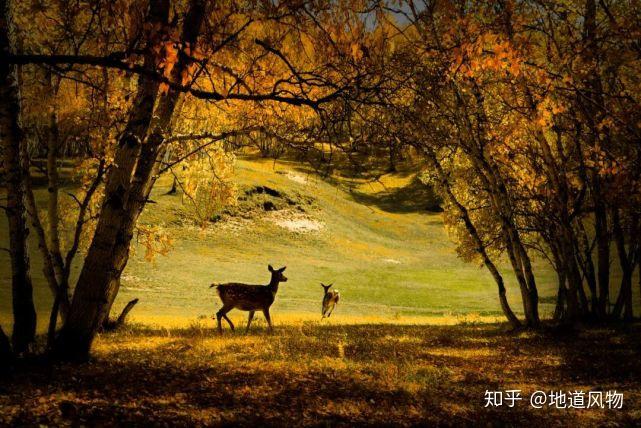 A scenic view of Chifeng Qingzhenbeidasi