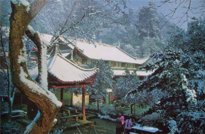 Exploring the Enigmatic Chongqing Shijie Foxueyuan: A Must-Visit Destination