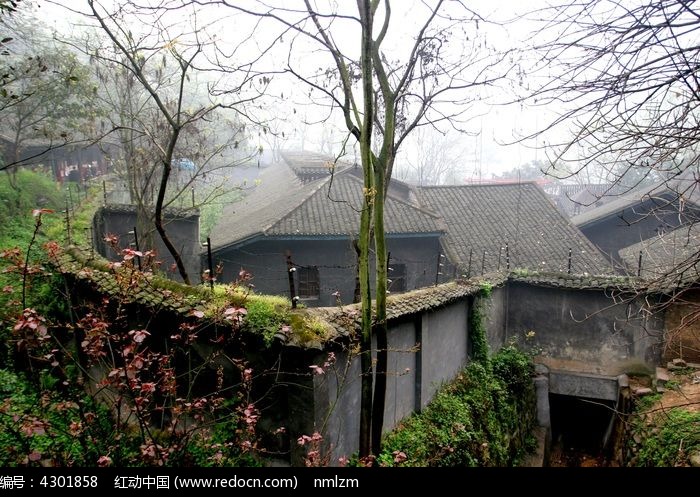 Discover Chongqing Zhongmei Hezuosuo Jizhongying Jiuzhi: Your Ultimate Travel Guide