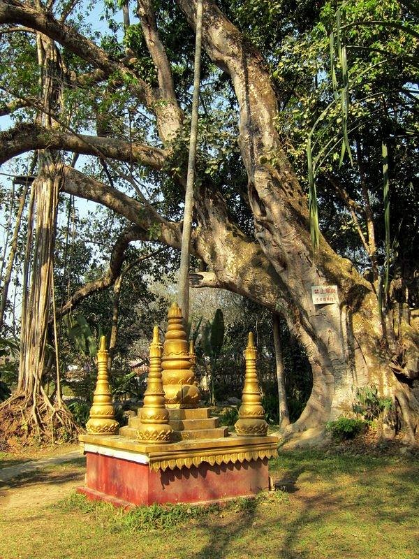 A scenic view of Dehong Yunyanta