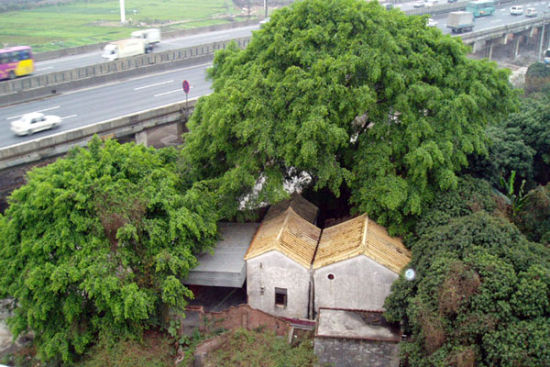 Discover the Hidden Gem of Dongguan: A Guide to Cuntou Yizhi
