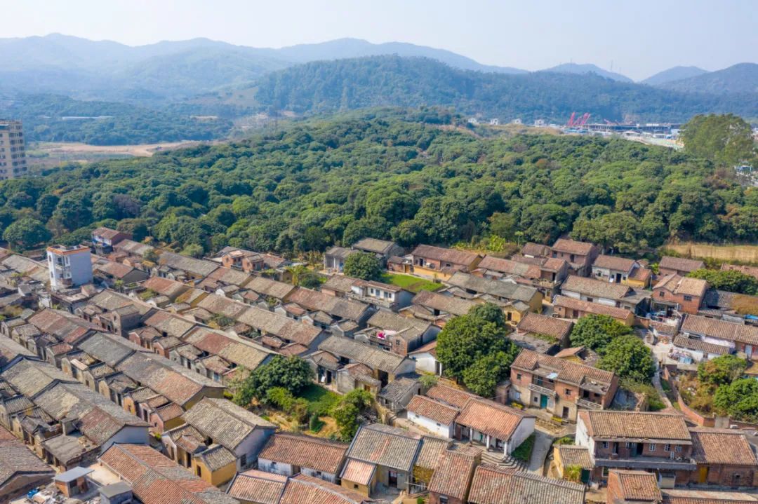A scenic view of Dongguan Dalingshan Kangri Genjudi Jiuzhi