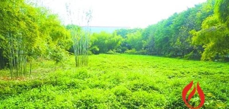 A scenic view of Foshan Guye Beiqiu Yizhi
