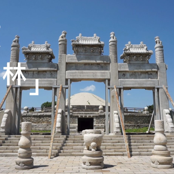 Unveiling Fushun Yuanshuailin: A Journey Through Liaoning’s Breathtaking Landscapes