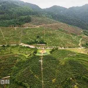 A scenic view of Guangan Anbing Jiazu Mudi