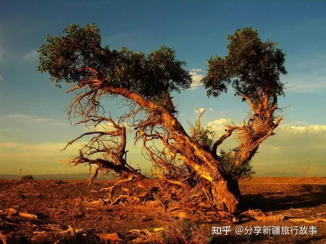 A scenic view of Hami Yuegongtai Xiheigou Yizhiqun