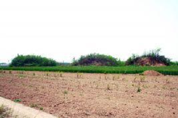 Handan Lincun Tomb Group: Where History and Culture Meet in Hebei