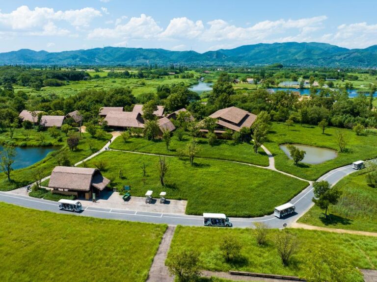 Hangzhou Liangzhu Yizhi: Where History Meets Nature in Zhejiang