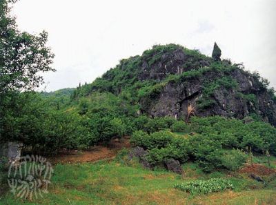 Discover the Enchantment of Hangzhou Wuguidong Yizhi: A Hidden Gem in Zhejiang