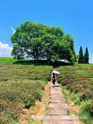 A scenic view of Hangzhou Xiaogucheng Yizhi