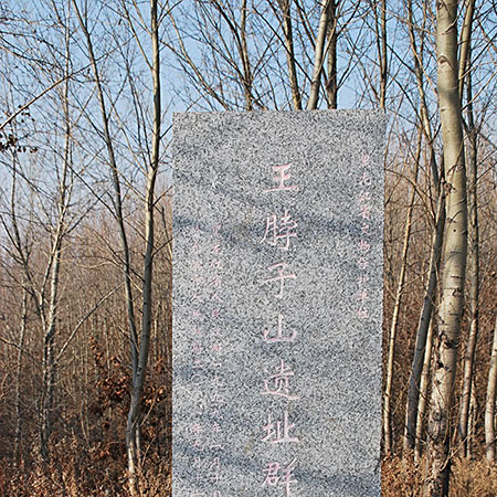 Harbin Wangbozishan Yizhiqun: A Unique Destination for Nature Lovers and Explorers