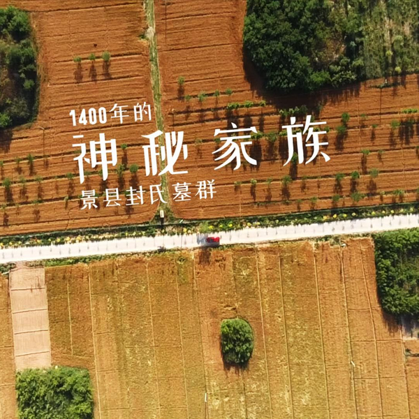 A scenic view of Hengshui Feng Family Tombs