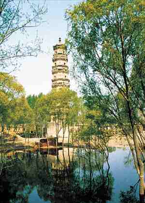 Discover the Majestic Hengshui Qinglin Temple Pagoda: A Journey Through History